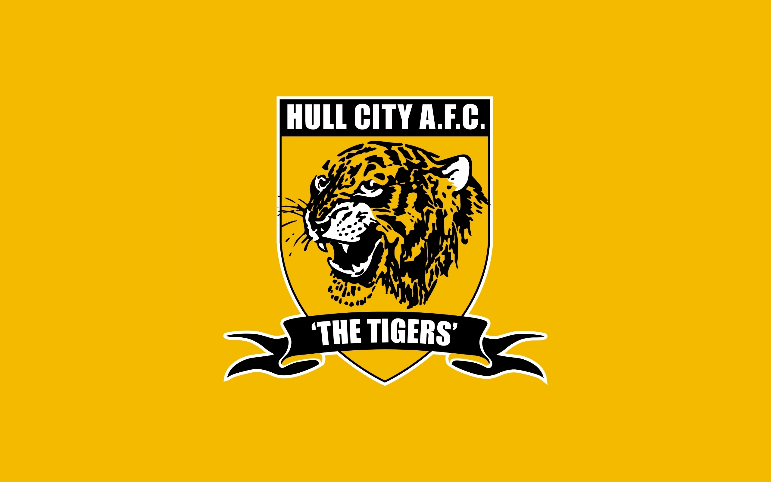 Hull City AFC Primary logo t shirt iron on transfers